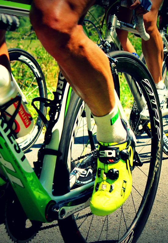hepolilo socks hepolilo socks